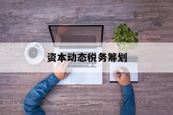 资本动态税务筹划(资本动态税务筹划案例)保山市