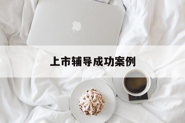 上市辅导成功案例(上市辅导成功后肯定会上市吗)保山市