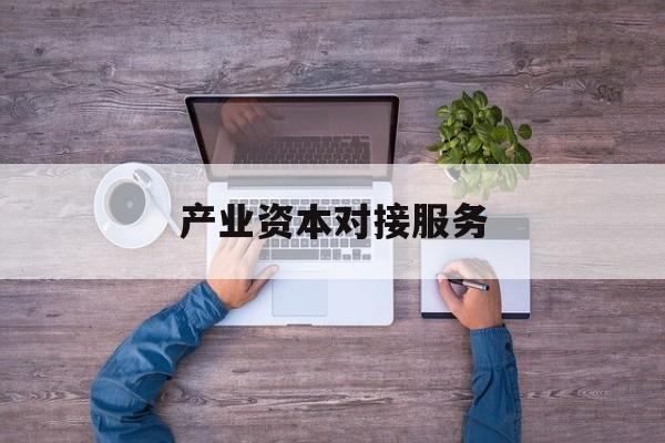产业资本对接服务(产业资本对接服务包括哪些)保山市