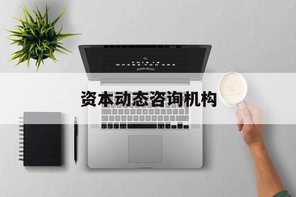 资本动态咨询机构(资本结构动态调整理论)保山市